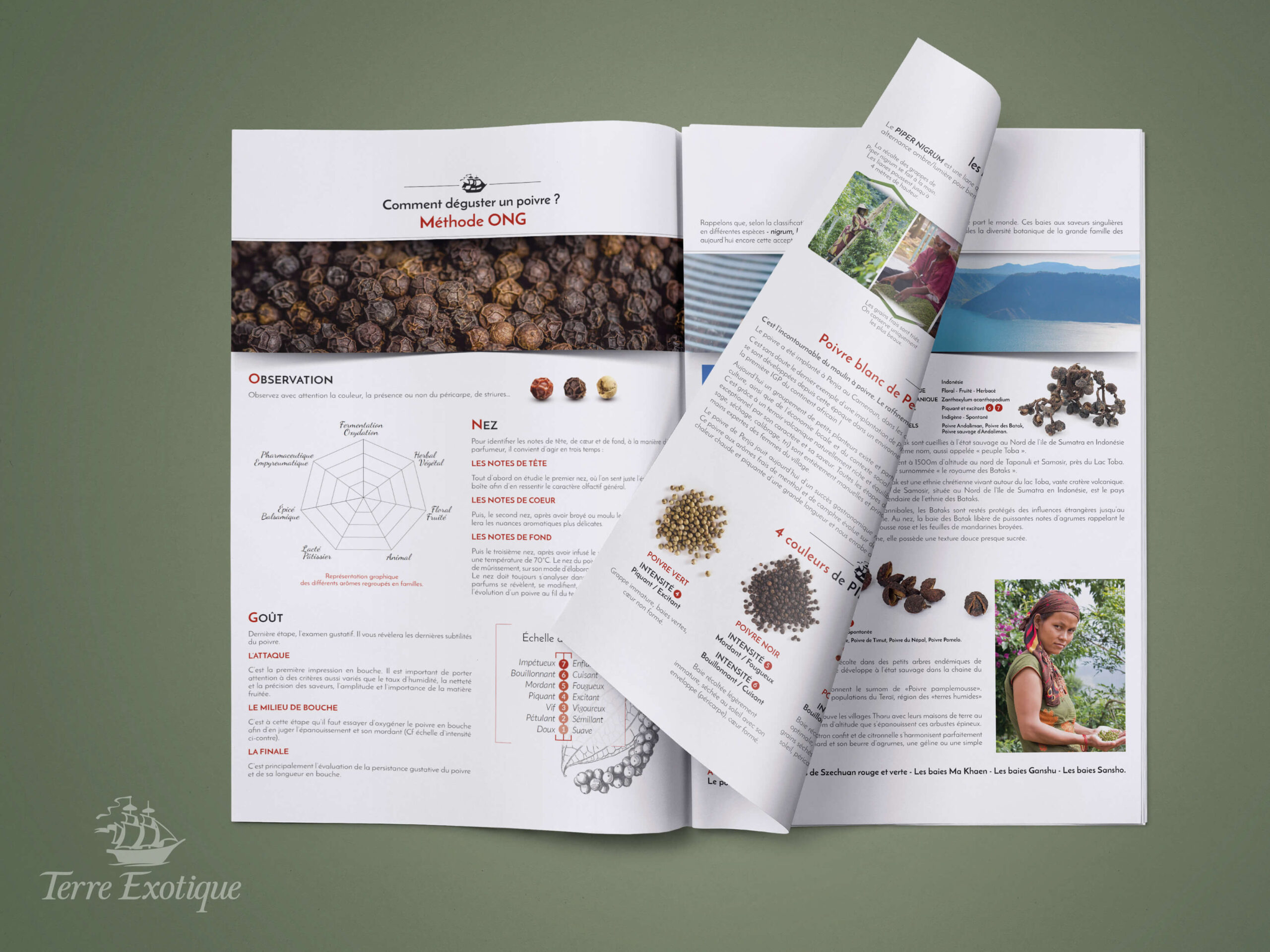 Gazettes_Terre_exotique_2